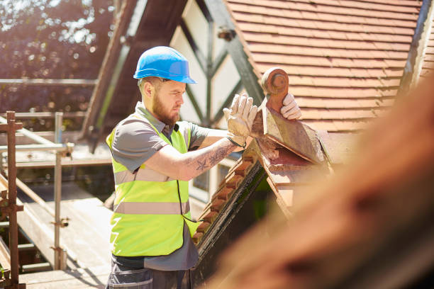 Best Storm Damage Roof Repair  in Panacea, FL